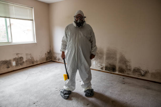 Best Fast Mold Removal  in Big Lake, WA